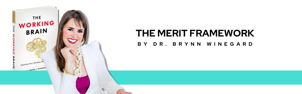 MERIT Framework – Brynn Winegard