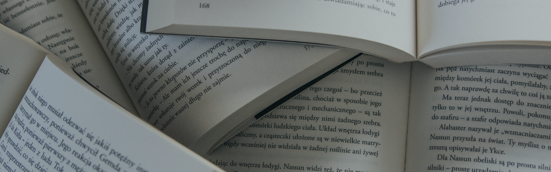 Decorative image. Close-up shot of open books and the pages inside.